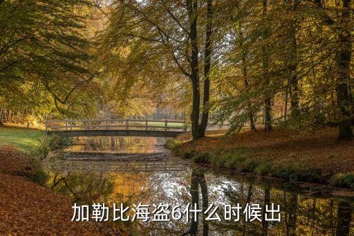 加勒比海盜6，加勒比海盜6什么時候出