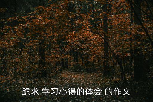 跪求 學習心得的體會 的作文