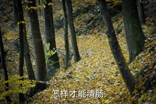 清腸，清腸方法