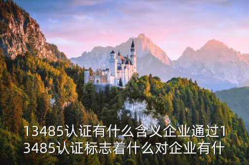 13485認證，13485認證有什么含義企業通過13485認證標志著什么對企業有什
