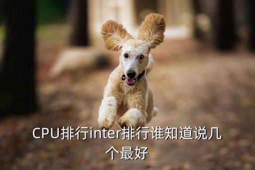 英特爾處理器排名，英特爾cpu性能排名