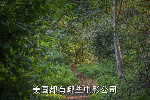 電影公司，美國8大電影公司