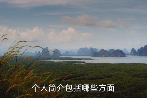 本人簡歷，個人簡介包括哪些方面