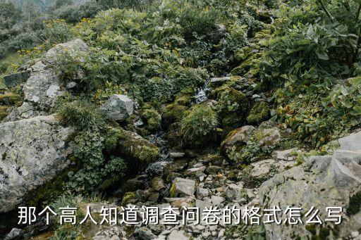 那個(gè)高人知道調(diào)查問卷的格式怎么寫