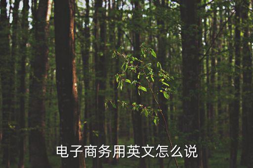 電子商務(wù)用英文怎么說