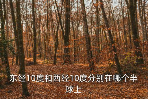 東經10度和西經10度分別在哪個半球上