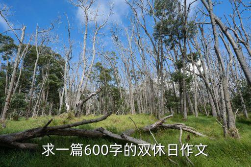 求一篇600字的雙休日作文