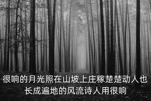 很響的月光照在山坡上莊稼楚楚動人也長成遍地的風流詩人用很響