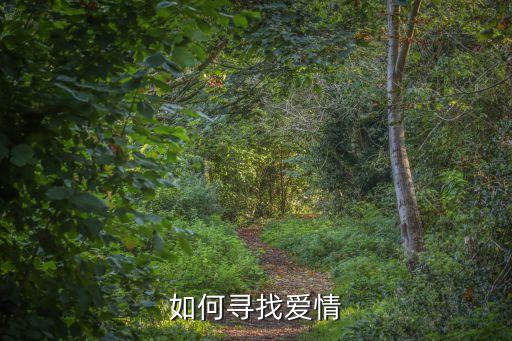 追尋愛，如何尋找愛情