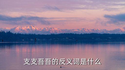 支支吾吾的意思，吞吞吐吐 閃爍其詞 支支吾吾 口若懸河 妙語(yǔ)連珠 高談闊論 眉飛色舞的