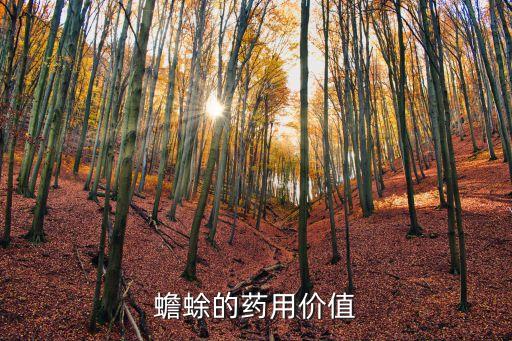 蟾蜍的藥用價(jià)值，癩蛤蟆的醫(yī)用價(jià)值
