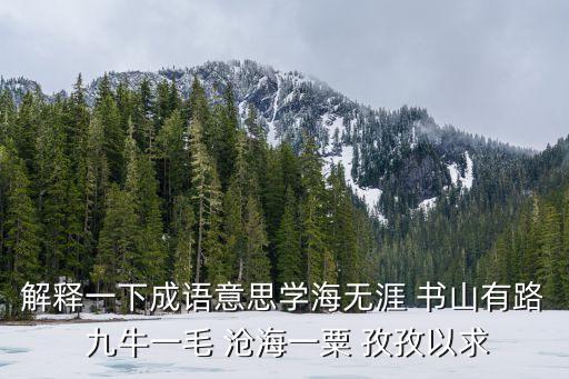 解釋一下成語意思學海無涯 書山有路 九牛一毛 滄海一粟 孜孜以求