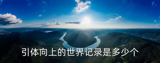 引體向上的世界記錄是多少個