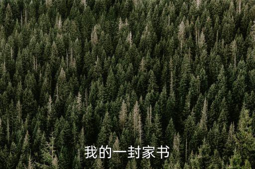 家書500字，我的一封家書