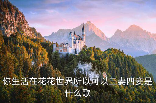 三妻四妾歌詞，你生活在花花世界所以可以三妻四妾是什么歌