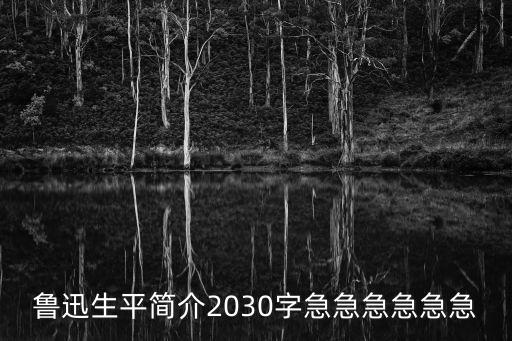 魯迅簡介，關于魯迅的資料