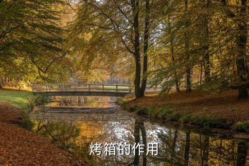 烤箱，烤箱哪個牌子好