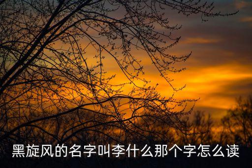 李逵讀音，逵念什么什么意思
