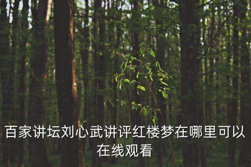 百家講壇劉心武講評紅樓夢在哪里可以在線觀看
