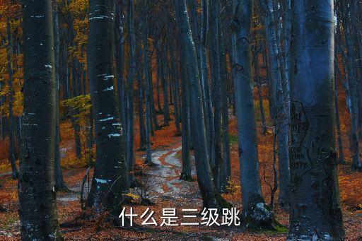 三級跳，什么是三級跳