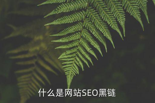 黑鏈，網(wǎng)上所說(shuō)的所謂黑鏈?zhǔn)鞘裁?/></a></span><span id=