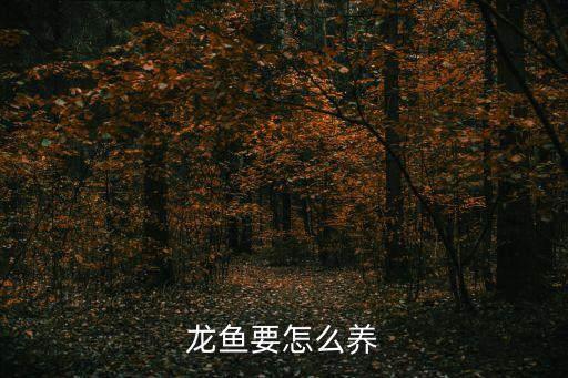 龍魚要怎么養(yǎng)