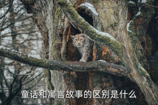 寓言和童話的區別，簡述寓言和童話的區別