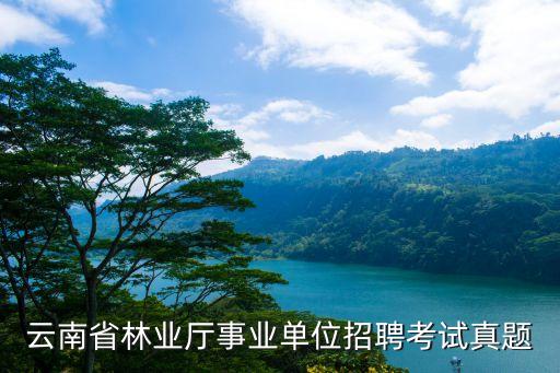 事業單位考試試題，2013年云南省紅河州事業單位招聘考試真題荅案