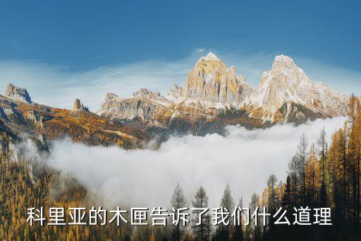 科利亞的木匣，科里亞的木匣告訴了我們什么道理