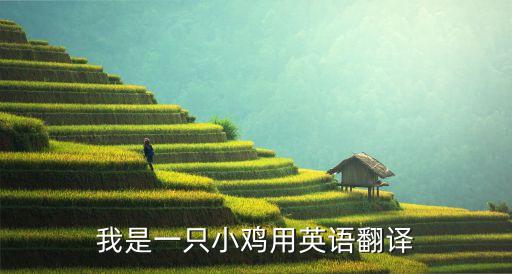 我是一只雞，我是一只小雞用英語翻譯