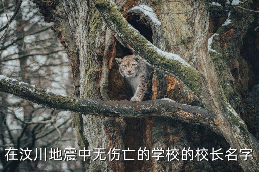 葉志平，汶川地震最牛校長(zhǎng)葉志平怎么死的