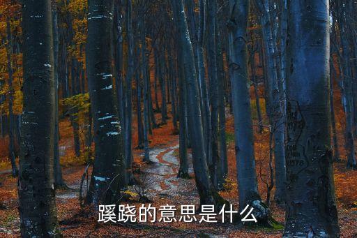 蹊蹺的意思是什么