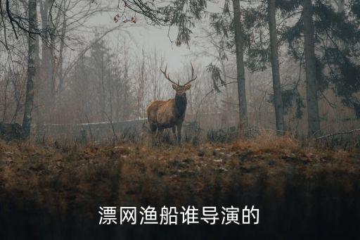 圍網(wǎng)漁船，拖網(wǎng)漁船的分類(lèi)