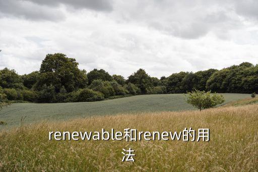 renewed，perfectrenew是什么意思