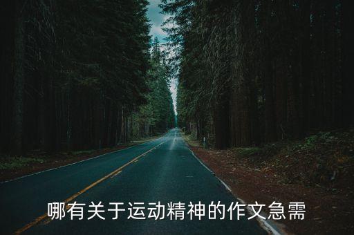 體育精神作文，體育的精神