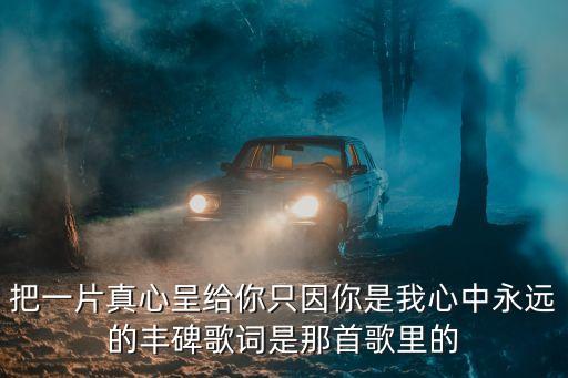 最美的獻給你，把一片真心呈給你只因你是我心中永遠的豐碑歌詞是那首歌里的