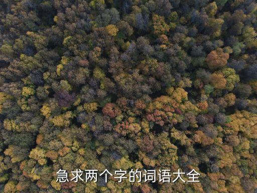 兩個字詞語大全，急求兩個字的詞語大全