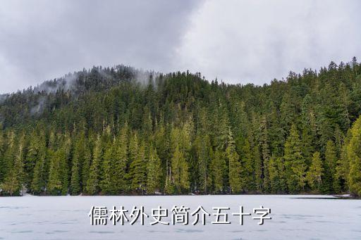 儒林外史介紹，亻需林外史的資料