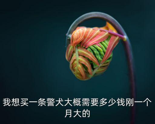 我想買一條警犬大概需要多少錢剛一個月大的
