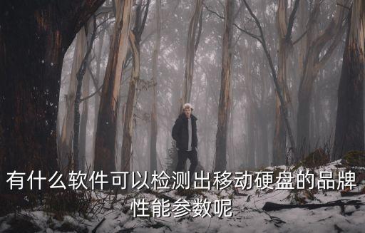 移動硬盤檢測工具，有什么軟件可以檢測出移動硬盤的品牌性能參數呢