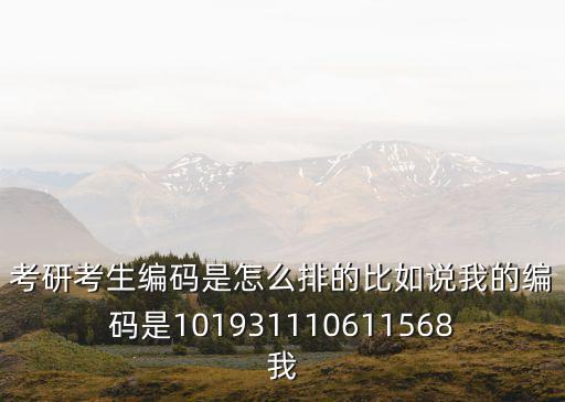 考研考生編碼是怎么排的比如說我的編碼是101931110611568我