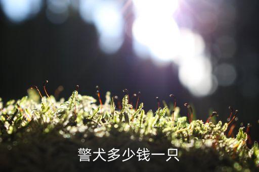 警犬多少錢一只