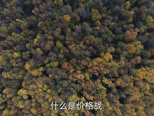 價格戰，現在很熱門的電商的價格戰是怎么回事啊貌似國美屠夫價出來后更