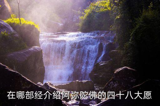 四十八愿，在哪部經介紹阿彌陀佛的四十八大愿