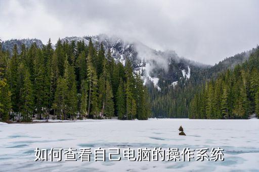 怎么查看電腦系統，從哪里看出自己的電腦是什么系統