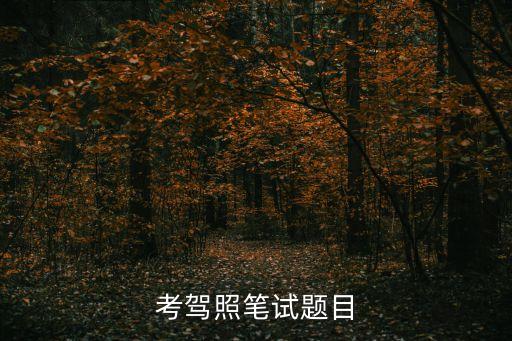 考駕照筆試題目