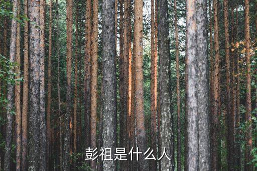 彭祖是什么人