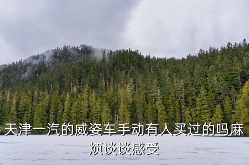 一汽威姿，天津一汽威姿怎么樣