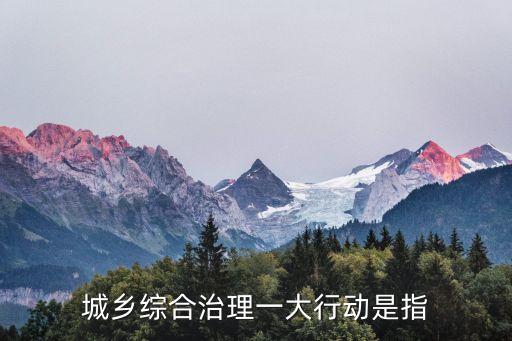 城鄉綜合治理一大行動是指