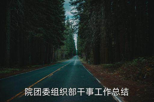 組織部工作總結，組織部個人工作總結